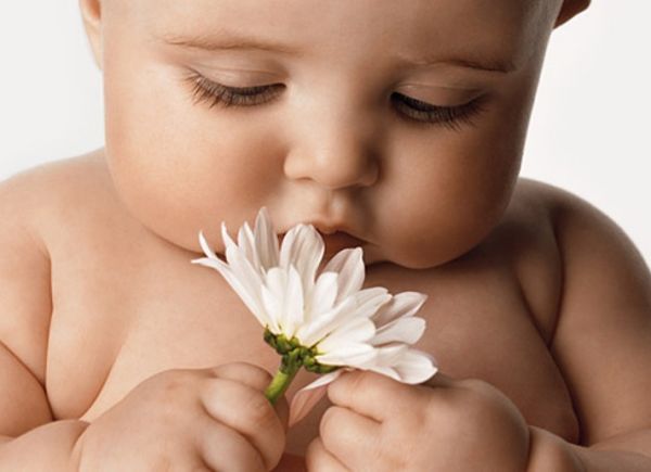 Baby ontdekt een bloem