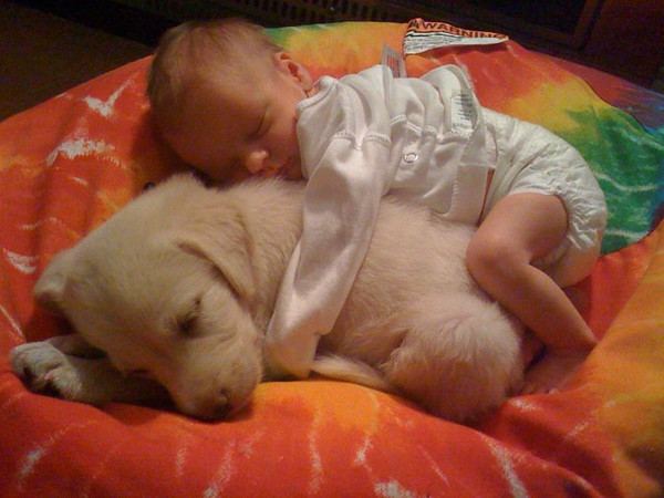 Baby en puppy knuffelen