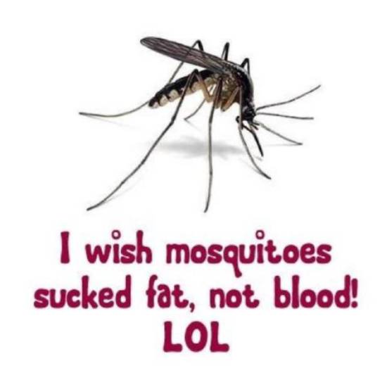 Ik wou dat muggen vet zogen