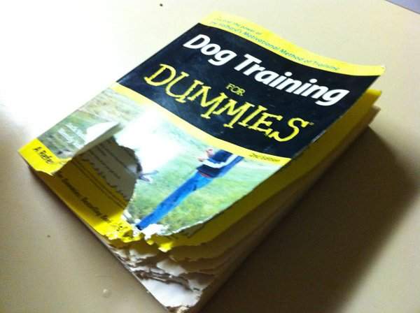 Honden opvoeden voor dummies
