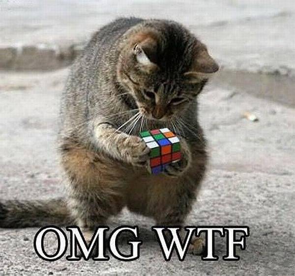 Kat bezig met Rubiks Kubus