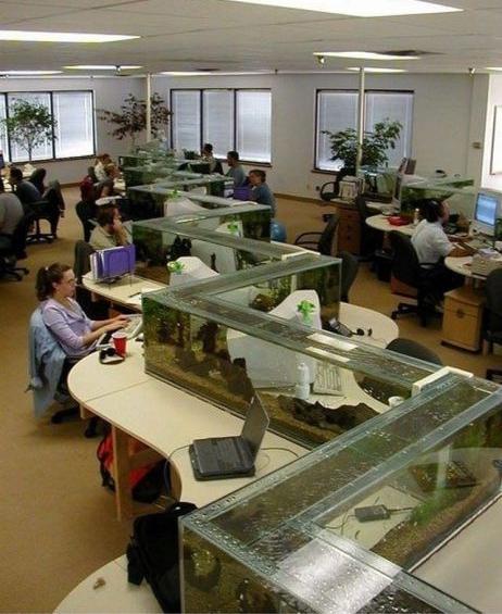 Aquarium op kantoor
