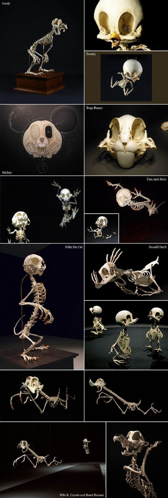 De skeletten van tekenfilmfiguren