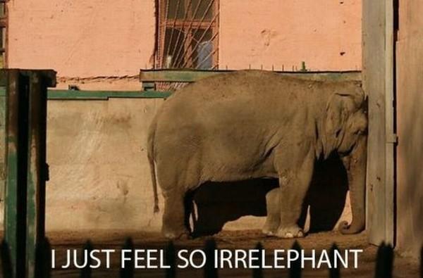 I Just Feel So Irrelephant