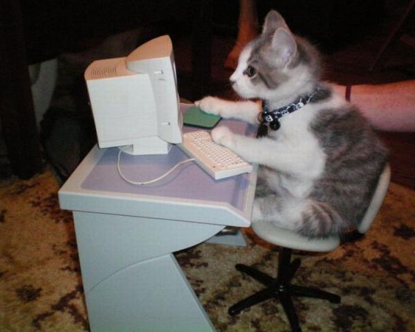 Computer voor de poes