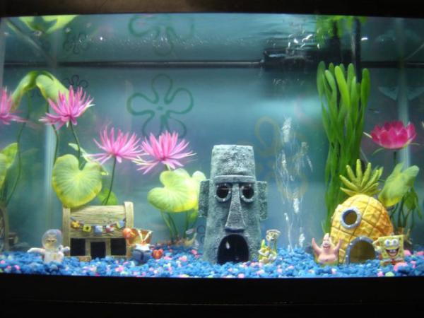 Spongebob aquarium