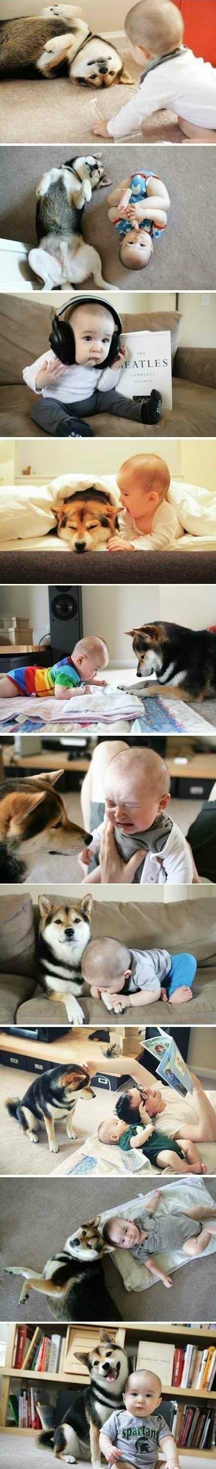 Baby en hond zijn beste vrienden