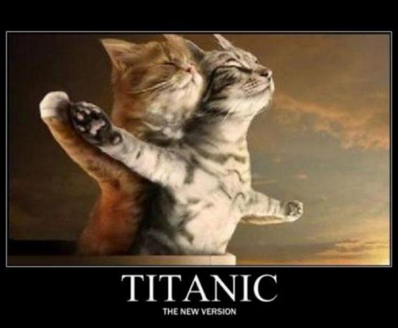 Titanic katten