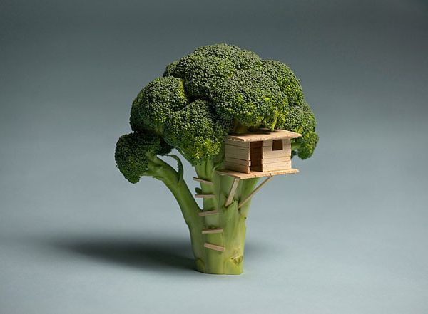 Brocolli boomhut