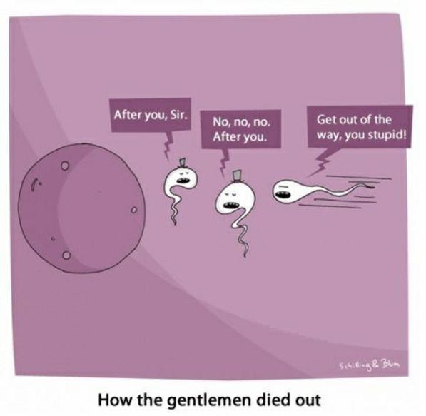Hoe de gentlemen is uitgestorven