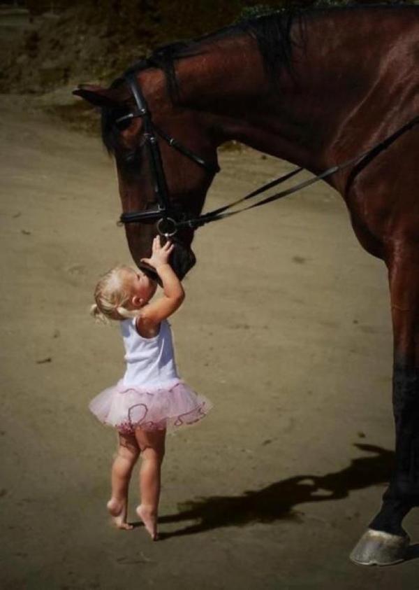Schattig meisje kust een paard