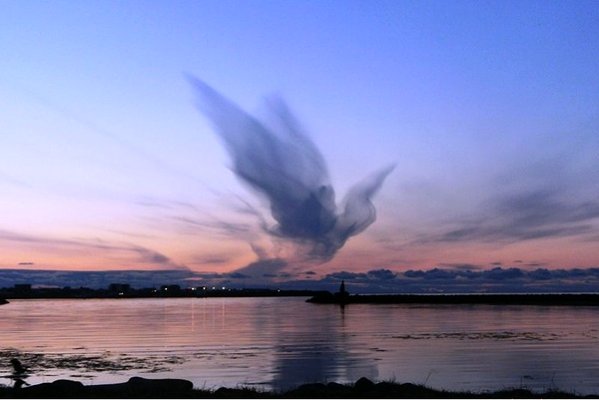 Vogel zichtbaar in de wolken