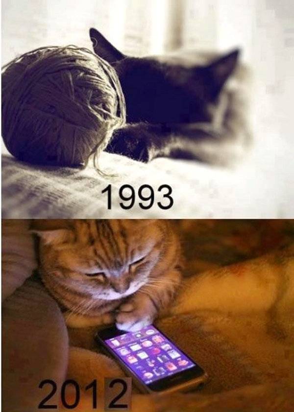 Katten in 1993 en nu