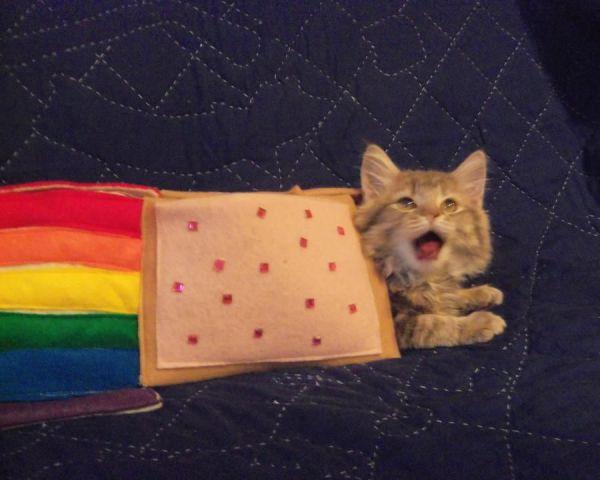 Nyan Cat