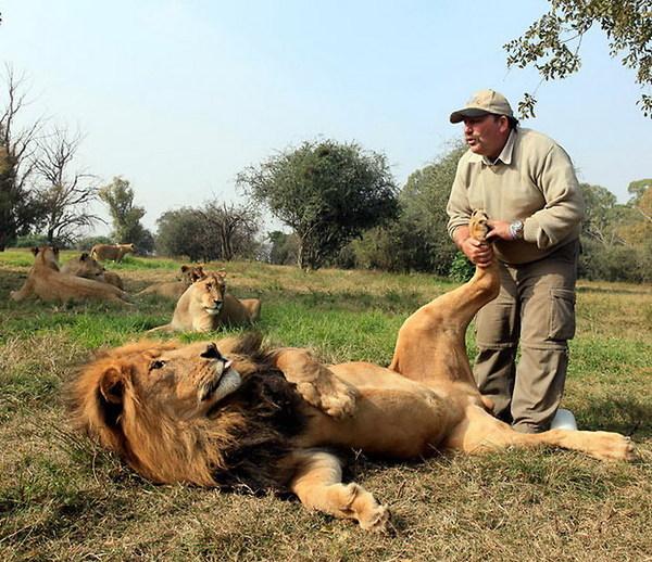 Voetmassage voor leeuwen