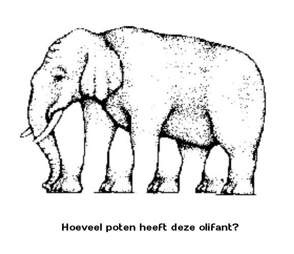 Hoeveel poten heeft deze olifant?