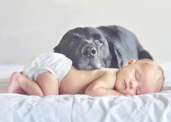 Lief plaatje van baby en hond