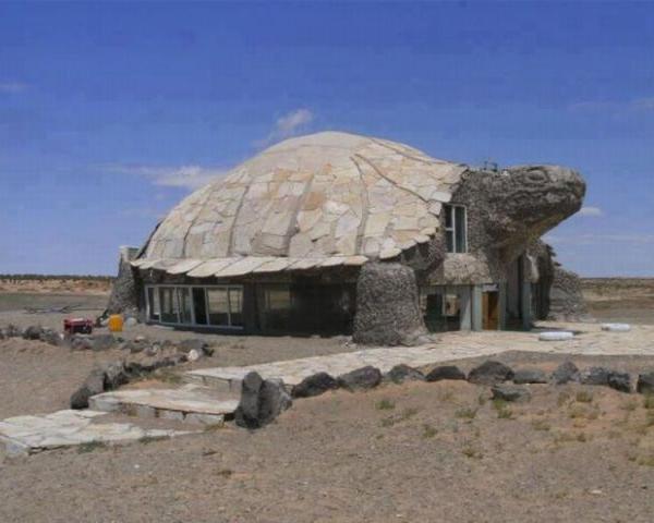 Schildpad huis