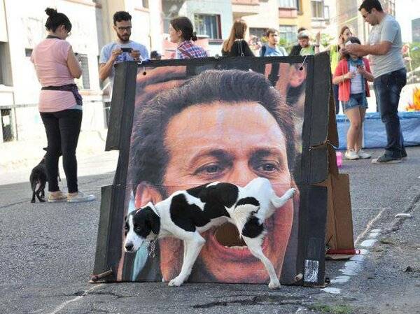 Hond plast over poster