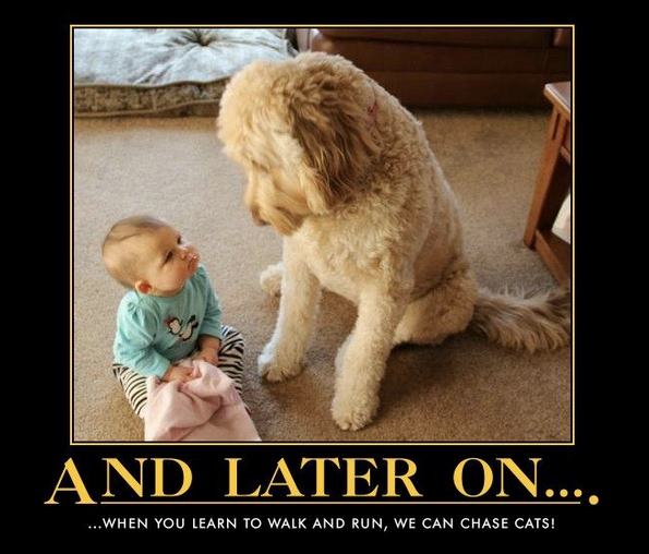 Baby en hond met toekomstplannen