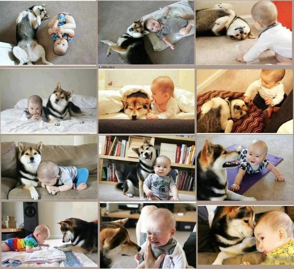 Vriendschap tussen baby en hond