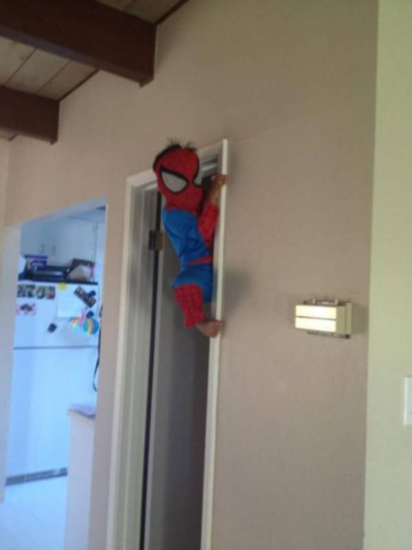 Spiderman baas