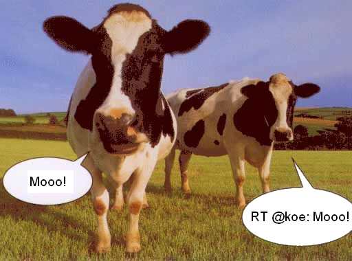 Twitterende koeien