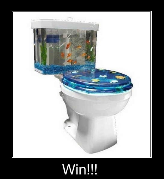 Toilet aquarium