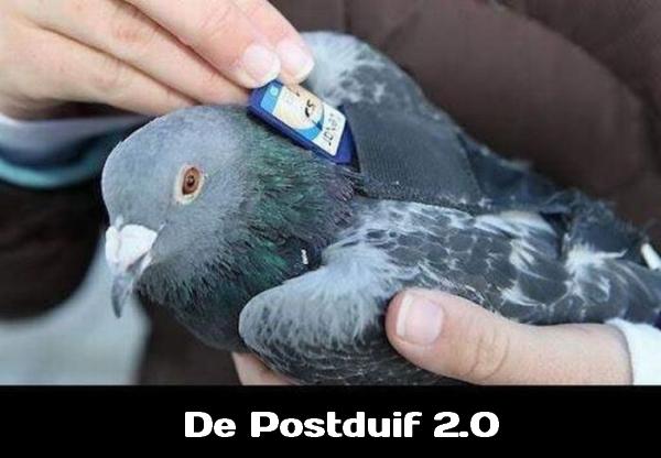 Postduif 2.0