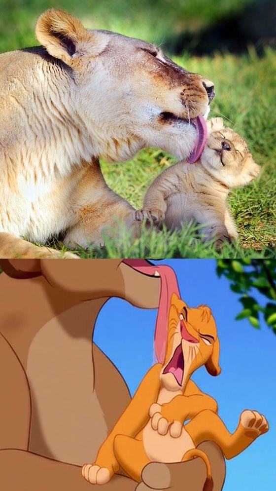 Lion King - Zoek de verschillen