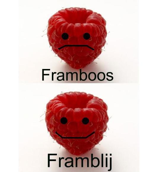 Framboos en Framblij