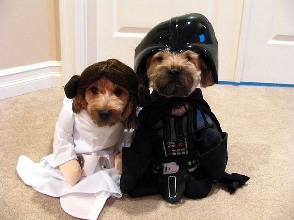 Star Wars hondjes