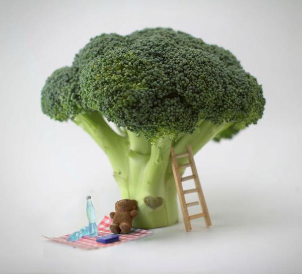 Picknicken onder een Broccoli boom